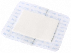 SURESITE 123+PAD TRANSPARENT FILM DRESSING WITH PAD 10CM X 12CM BOX/50 EACH